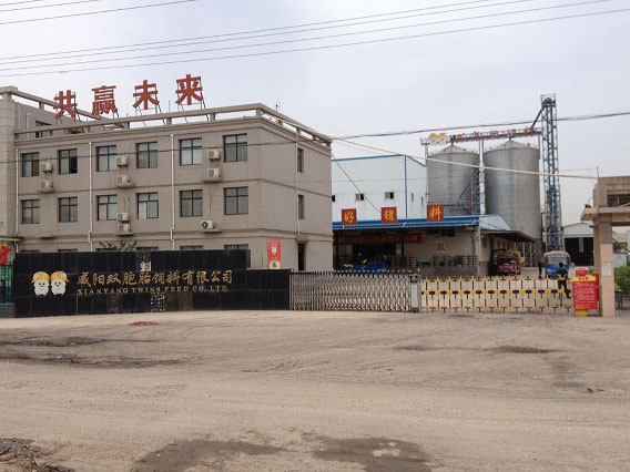 2014081540078065.jpg